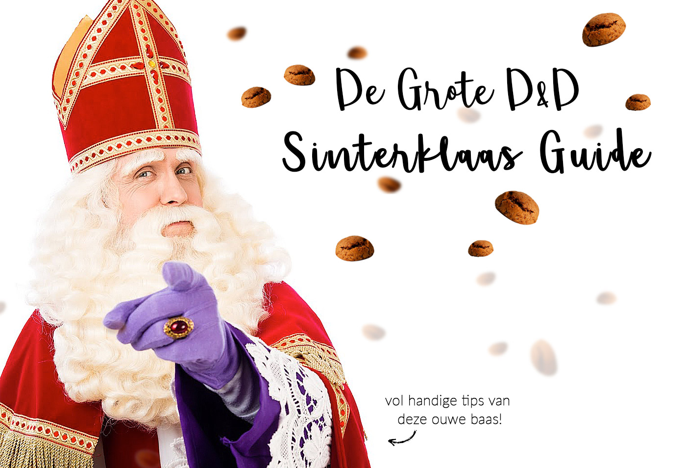 sinterklaas guide