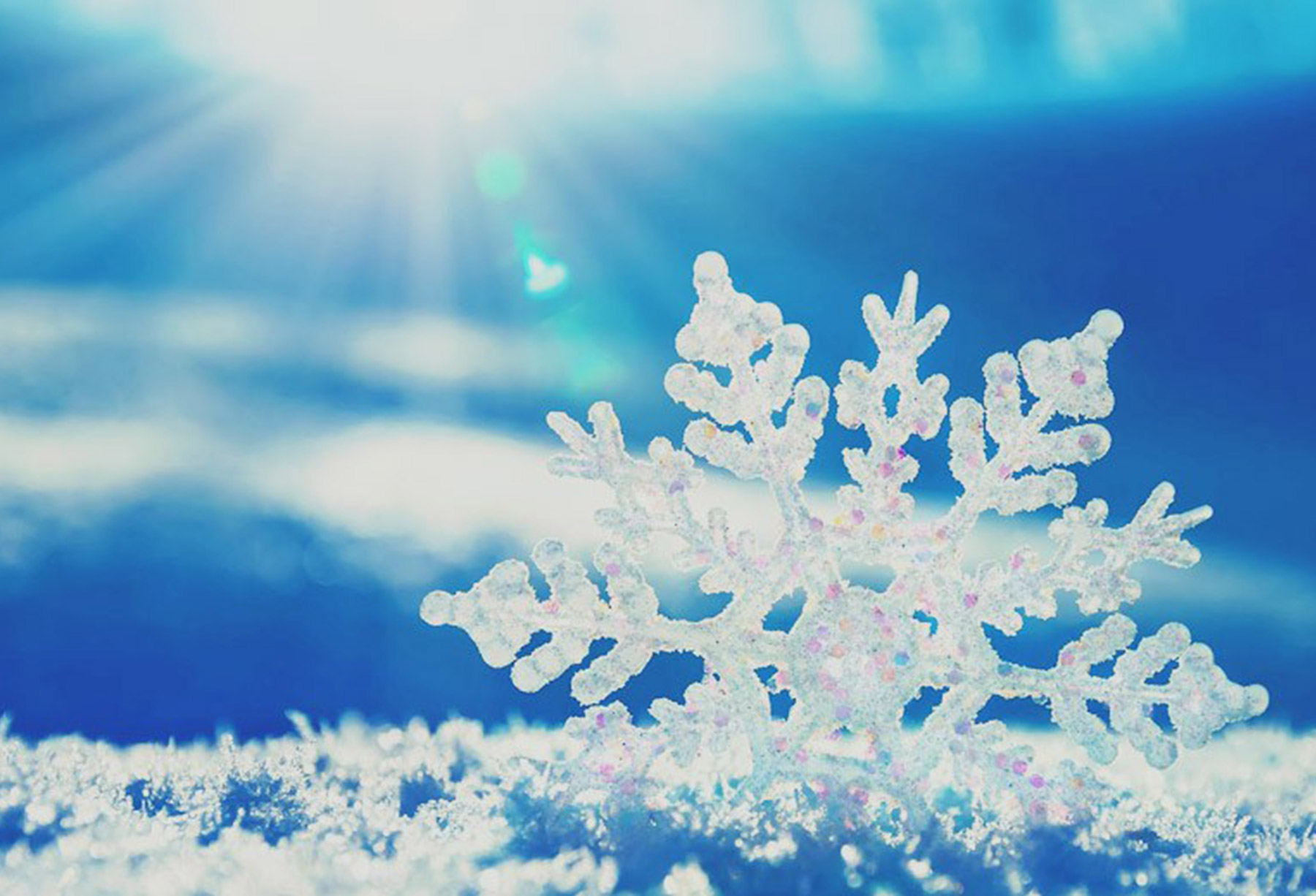 winter