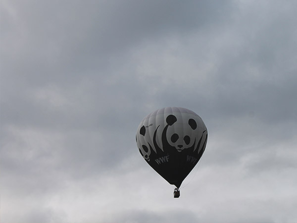 Ballonfiësta barneveld 2014 ballonnen ballonvaart ballon koewei